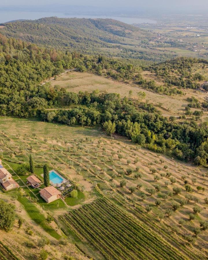 Tenuta Angelici Winery Agriturismo Henni With Pool Sauna And Jacuzzi Cortona Villa Kültér fotó